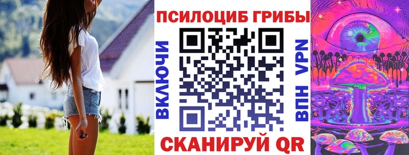 хочу   Тихвин  Галлюциногенные грибы мицелий 