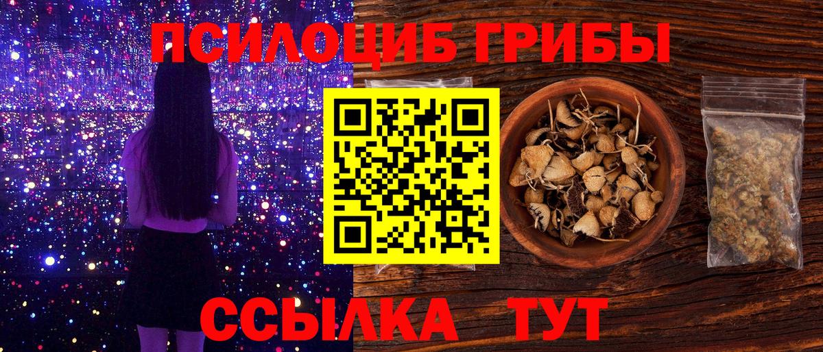 цены   Галлюциногенные грибы Psilocybine cubensis  Вход с VPN  Тихвин  Галлюциногенные грибы Cubensis 