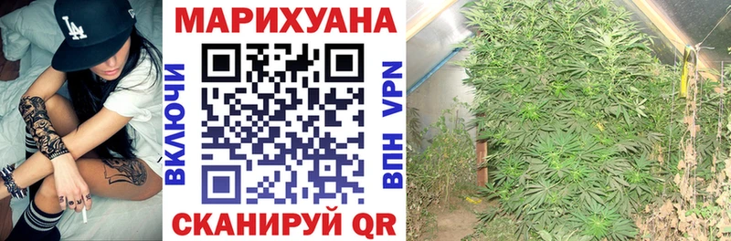 наркотики Тихвин Канабис MAZAR